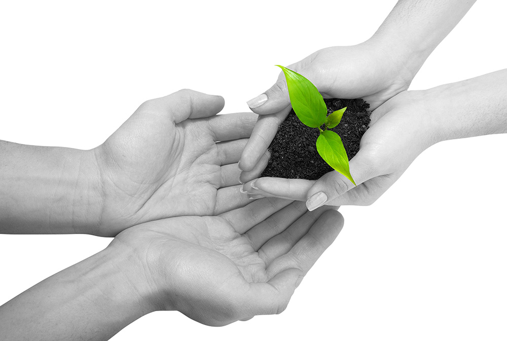 服务器攻击方式